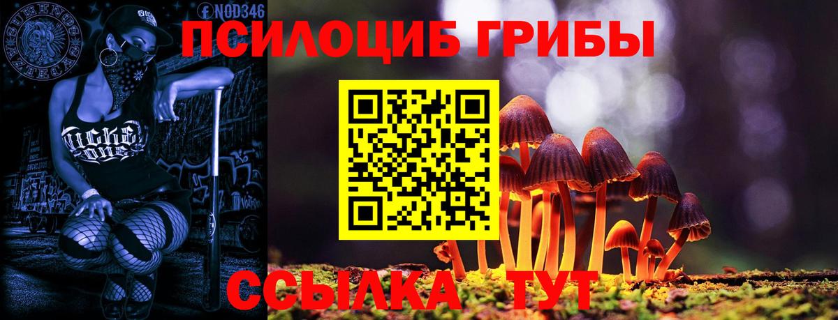 Псилоцибиновые грибы мицелий Павловский Посад