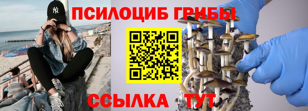 Павловский Посад  Галлюциногенные грибы Cubensis  Вход с VPN 